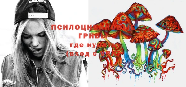 СК Волосово