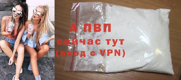 СК Волосово