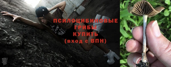 СК Волосово